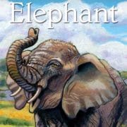 Childrens-Spirit-Animal-Cards_OMTimes