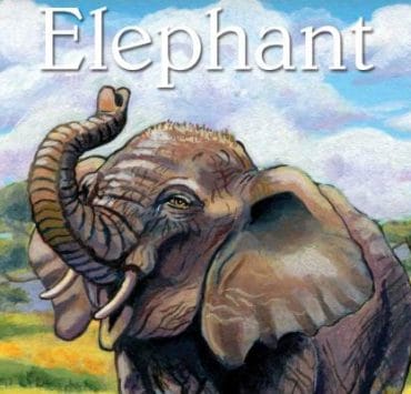 Childrens-Spirit-Animal-Cards_OMTimes