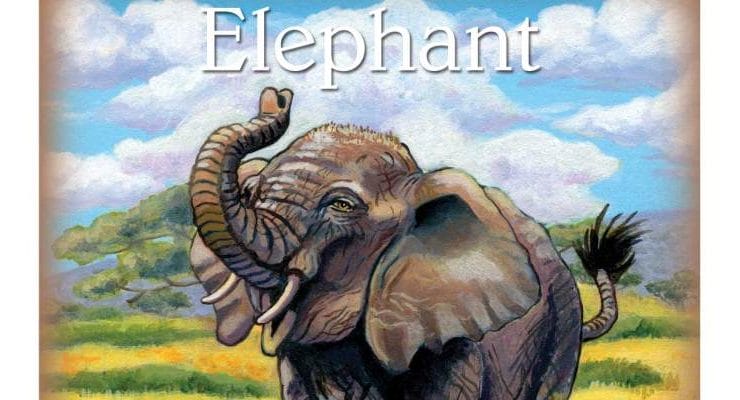 Childrens-Spirit-Animal-Cards_OMTimes