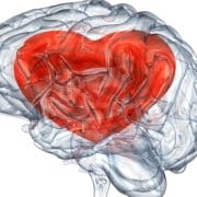 seeing-with-the-heart_OMTimes