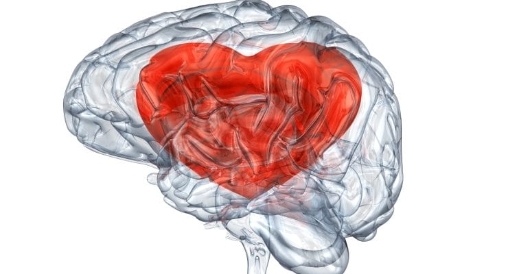 seeing-with-the-heart_OMTimes