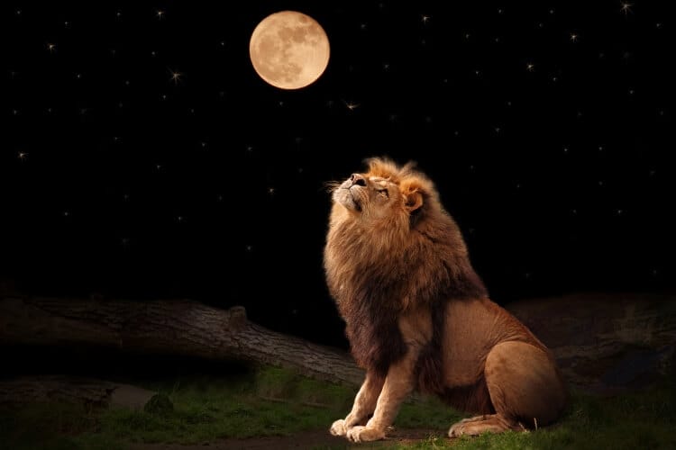 2016-Leo-Full-Moon_OMTimes