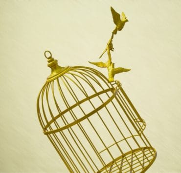 Heal-Lyme-disease_OMTimes