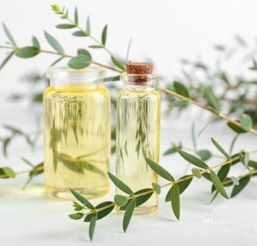 Eucalyptus Essential Oil