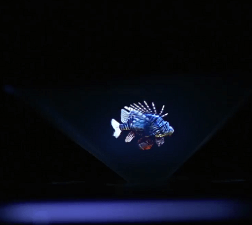 Holoquarium_Zoo_Omtimes