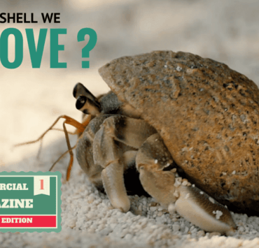 SHell_we_move_omtimes