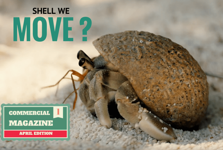 SHell_we_move_omtimes