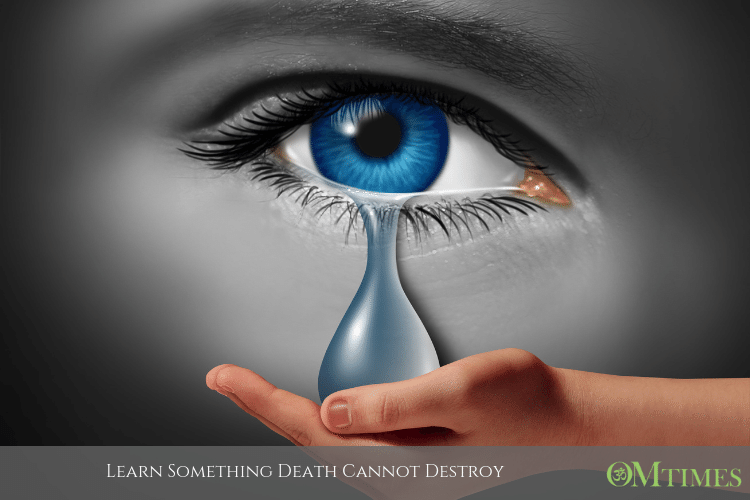 death cannot destroy OMTimes