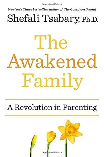 The-Awakened-Family