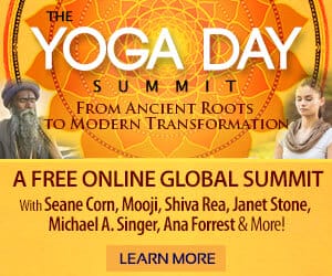 Yoga-Day-Summit_OMTimes