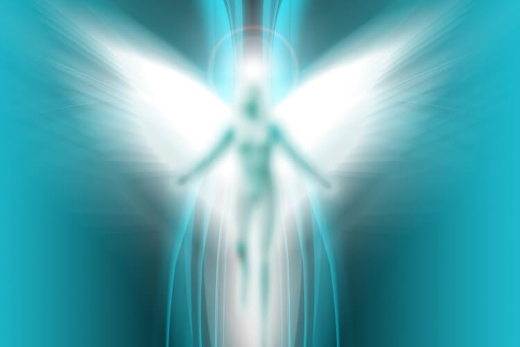 angels_wings_OMTimes