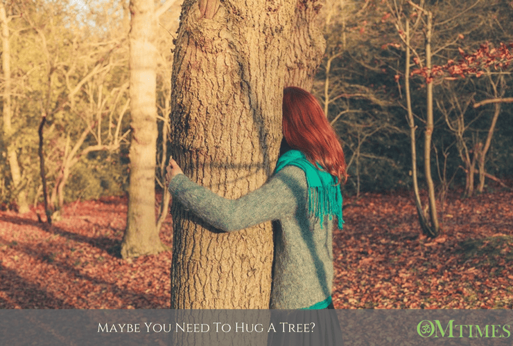 hug tree OMTimes