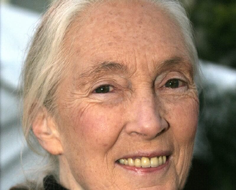 Jane Goodall_Omtimes