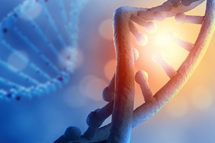 DNA genes OMTimes
