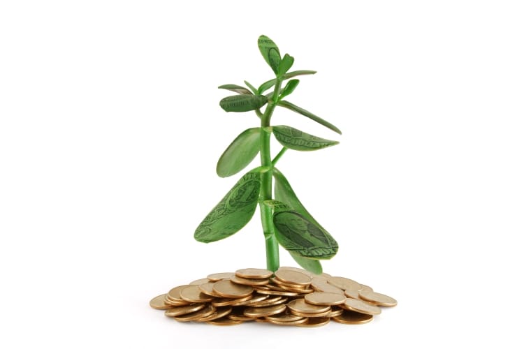 somatic-money_OMTimes