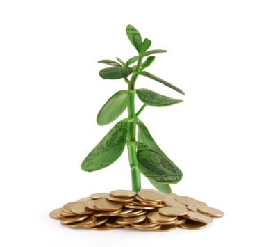 somatic-money_OMTimes