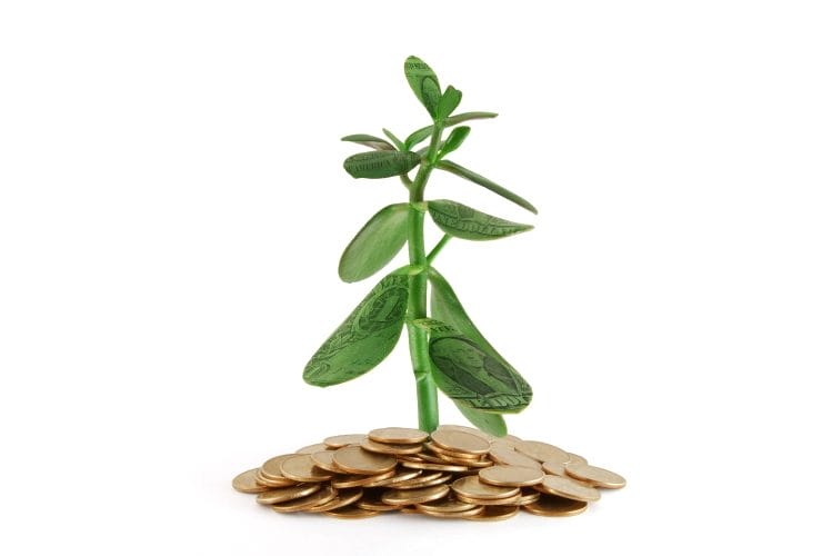 somatic-money_OMTimes