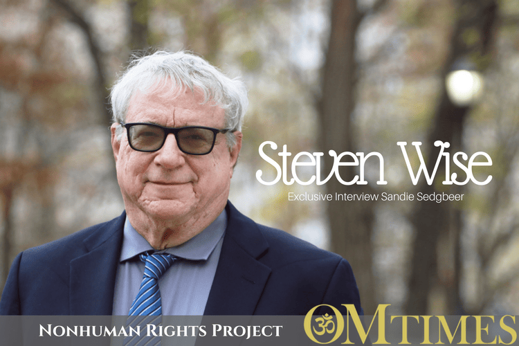 Steven Wise OMTimes