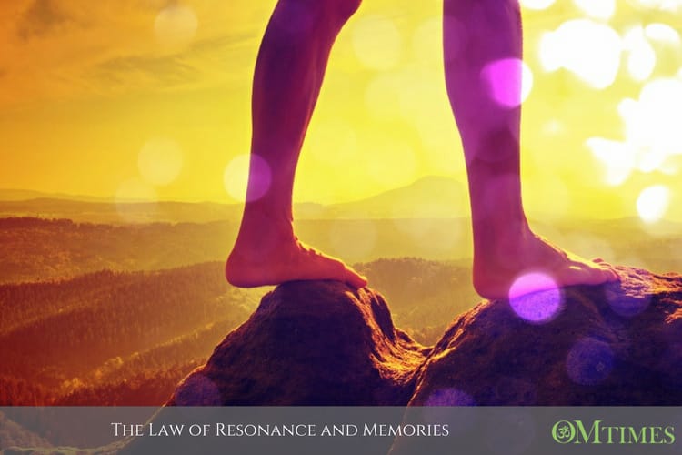 Law of Resonance OMTimes