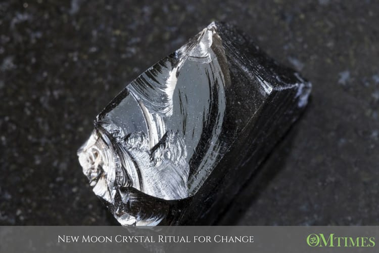 new moon OMTimes
