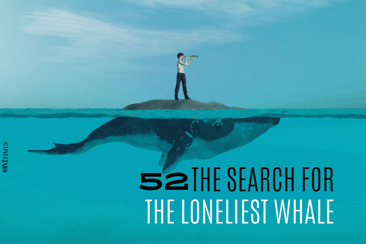 Has The World's Loneliest Whale Finally Found A Friend?