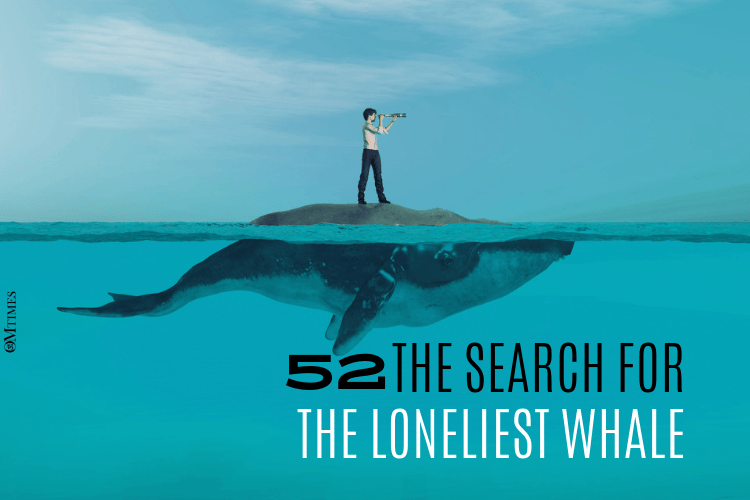 SEARCH FOR THE LONELIEST WHALE
