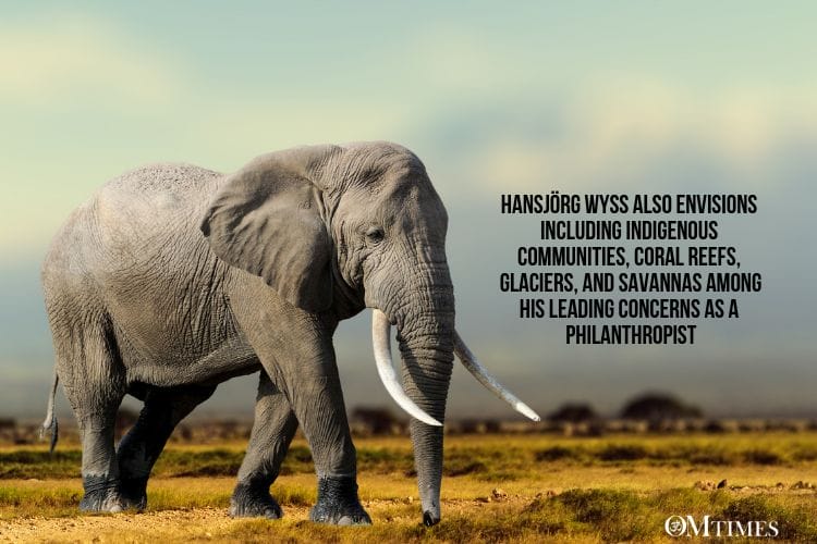 environmental Preservation