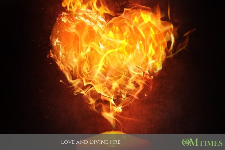 divine fire OMTimes