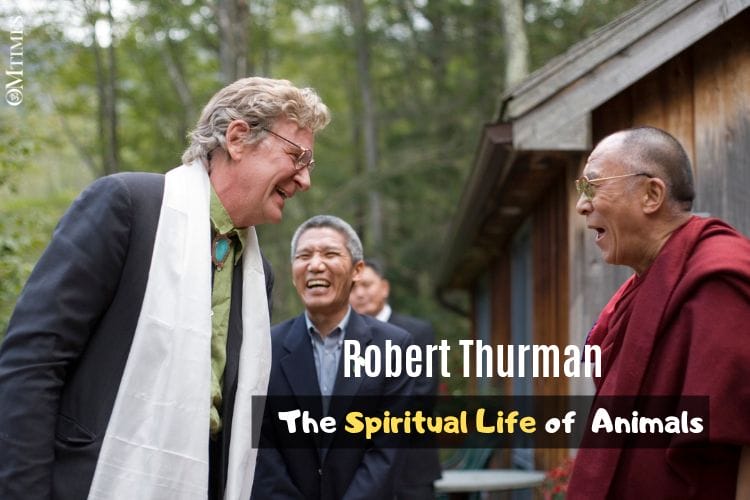 Robert Thurman