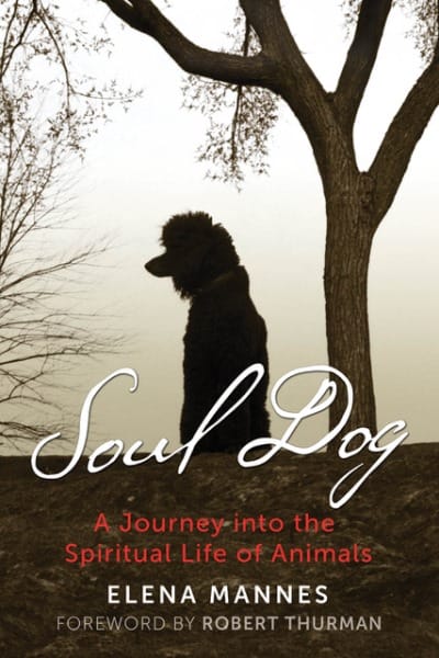 Soul Dog OMTimes