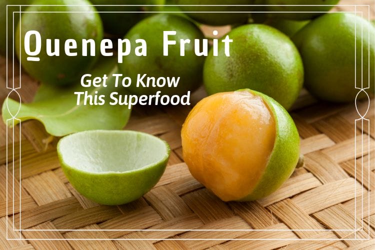 Get To Know The Superfood- Quenepa Fruit (1)