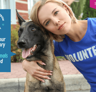 Shannon Keith Rescue + Freedom Project OMTimes