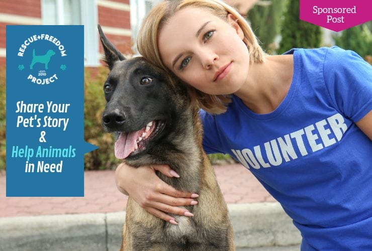 Shannon Keith Rescue + Freedom Project OMTimes