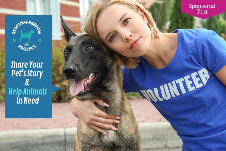 Shannon Keith Rescue + Freedom Project OMTimes