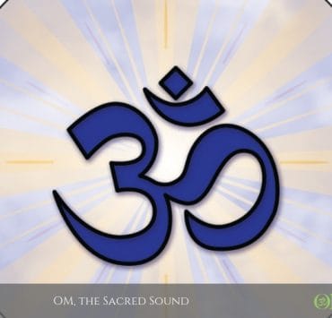 Glassmasters OM OMTimes