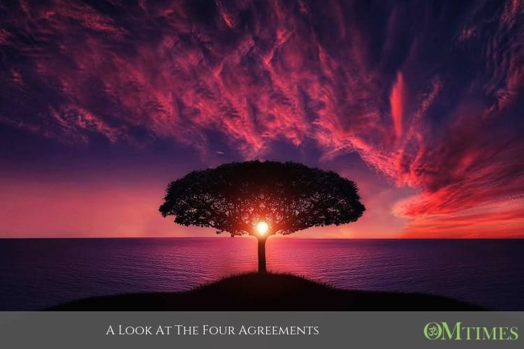 Four Agreements OMTimes