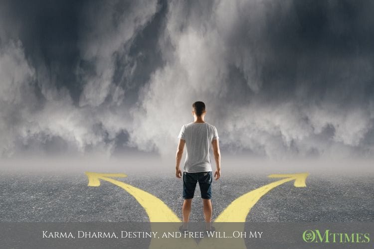 Karma Dharma Destiny Free Will OMTimes