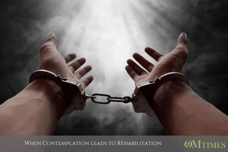 Rehabilitation OMTimes