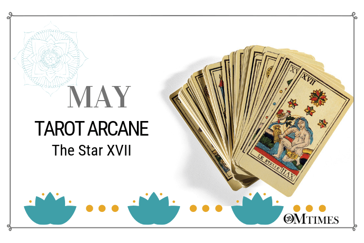 May Arcane the Star Card XVII