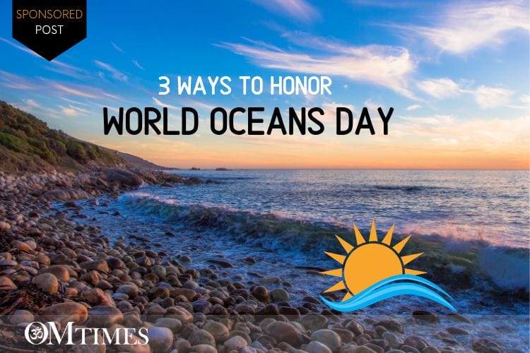 3 Ways to Honor World Oceans Day