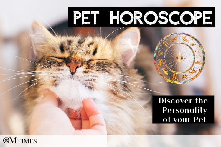 Pet Horoscope OMTimes