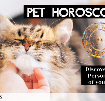 Pet Horoscope OMTimes