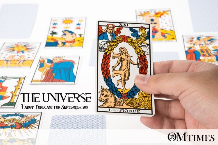 Tarot Universe Card OMTimes