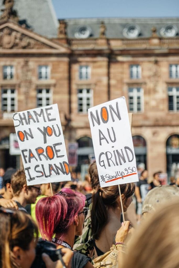 Interview with Peter Jay Brown