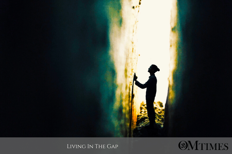 gap OMTimes