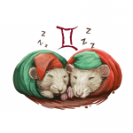 Year of the Rat forecast for Gemini