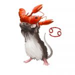Year of the Rat forecast for Cancer