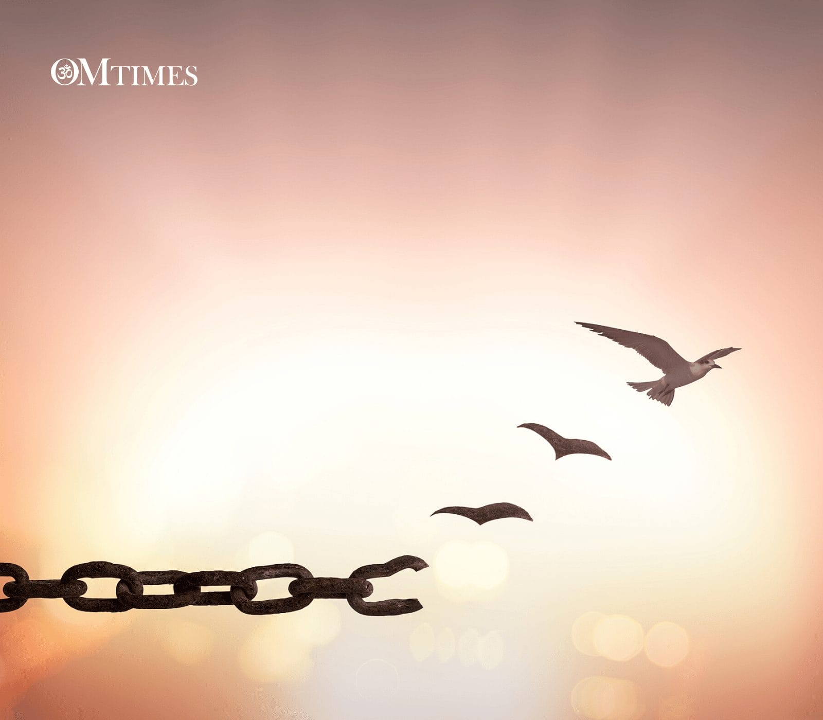 Karmic Patterns OMTimes