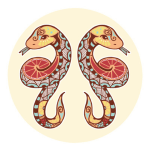 Gemini (5/21-6/20)-OMTImes