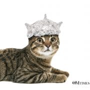 Heart-Based Telepathy OMTimes